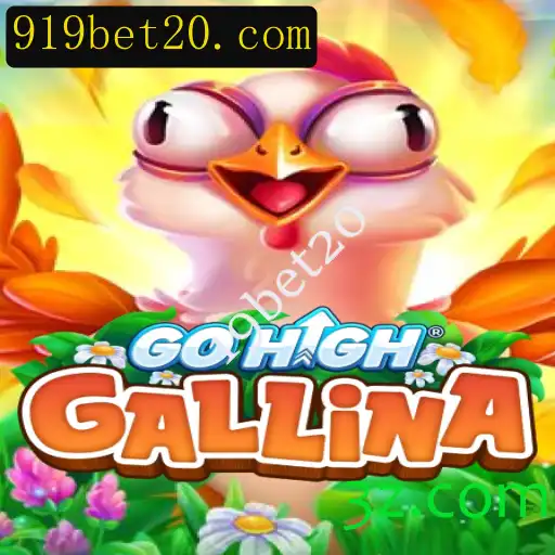 Descobrindo o Mundo de GoHighGallina: O Jogo que Captura o Imaginário de 2023
